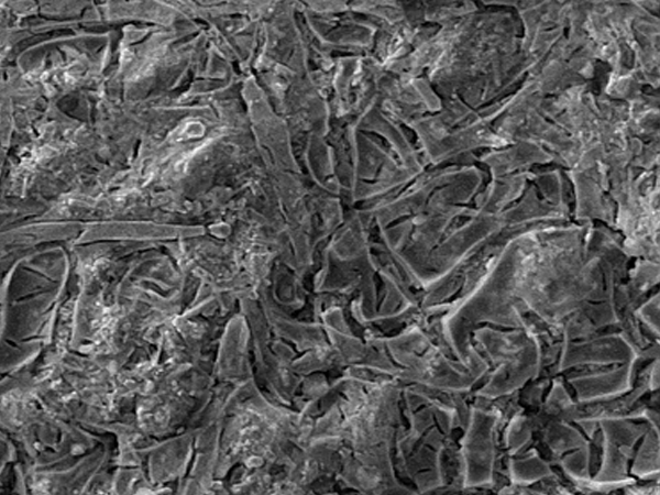 ساختار میکروسکوپی پوشش های آند های MMO